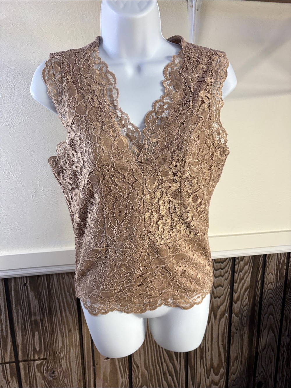 Daytrip Lace V-Neck Sleeveless Camisole in Tan